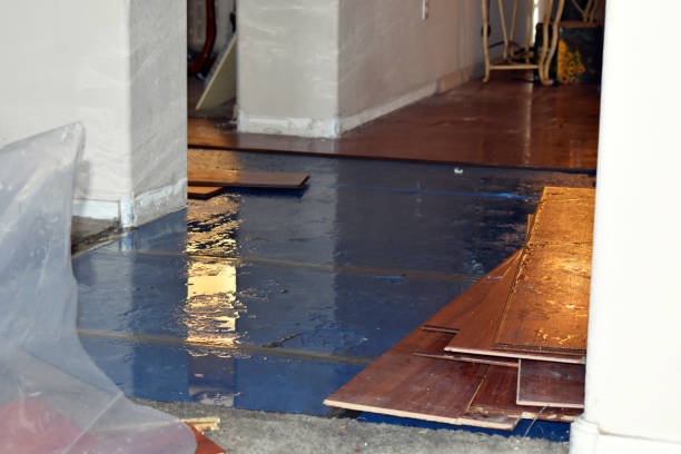 Professional Water Extraction technician working in Leeton, MO